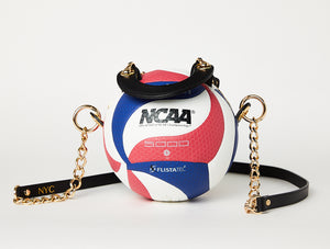 NCAA Molten Volleyball Bag